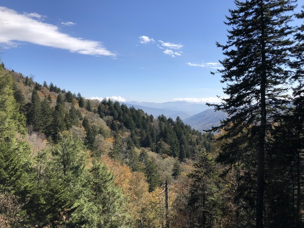 The Great Smoky Mountains November  