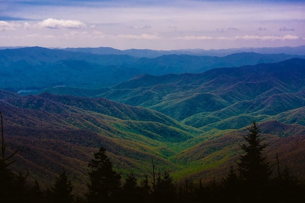 The Great Smoky Mountains on the road to Clingmans Dome x 