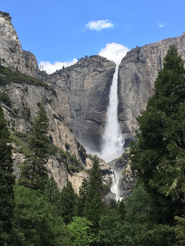 The great Yosemite Falls Yosemite National Park 