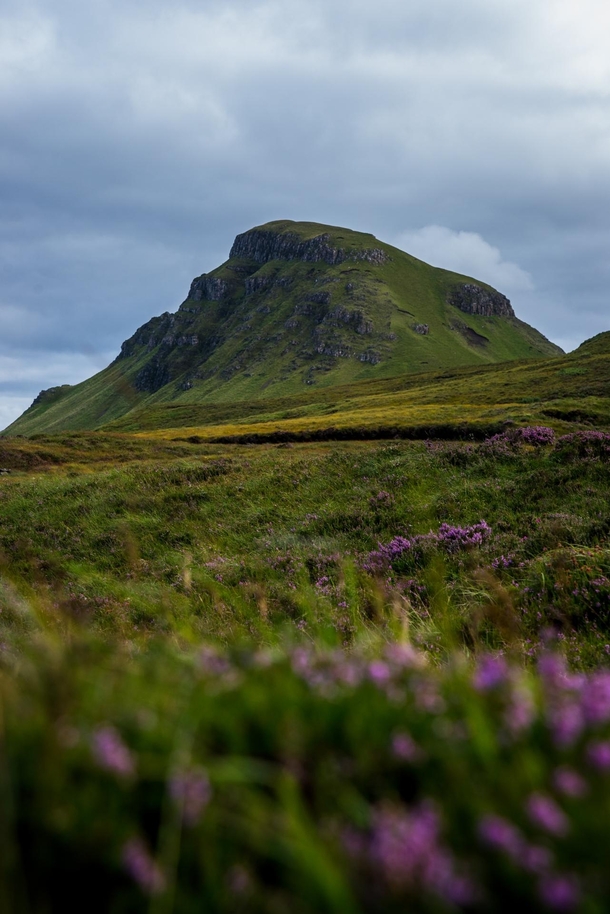 The Green Peak Scotland  x
