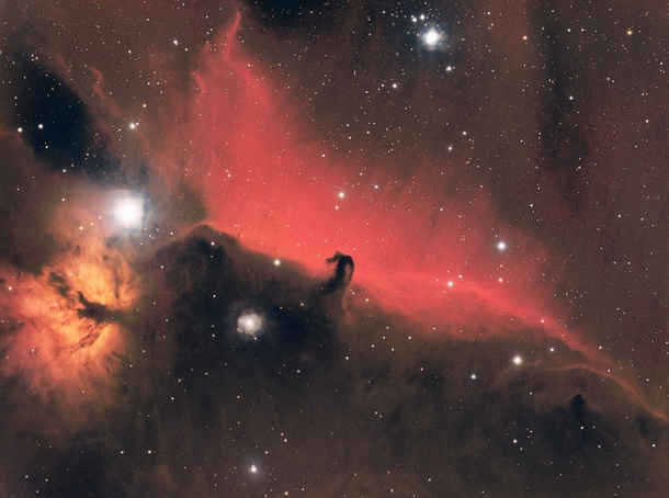 The Horsehead Nebula from my telescope 