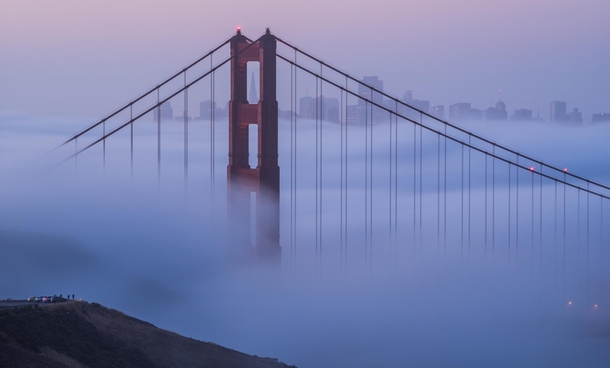 The iconic foggy sunrise envelopes San Franciscos skyline 