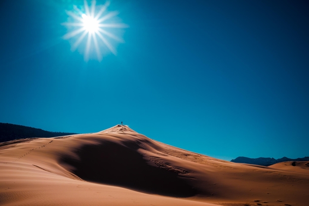 The imposing dunes of the Coral Pink Sand Dunes state park Utah  photo by Kim Green