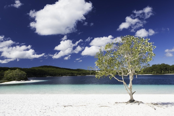 The impossible clarity of Lake McKenzie Fraser Island 