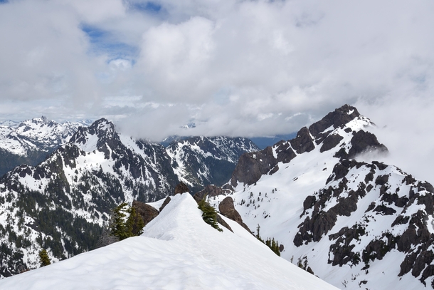 The jagged peaks of the Olympic Mountains from a hike this morning 