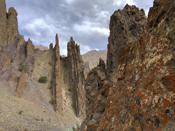 The jagged spires and red fungus on the descent from Stok La Hemis National Park Ladakh India 