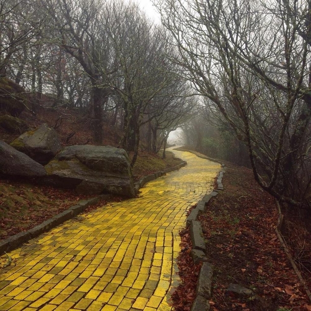 The Land of Oz Theme Park in North Carolina -  Bricks Were Used for The Yellow Brick Road Abandoned  Years Ago