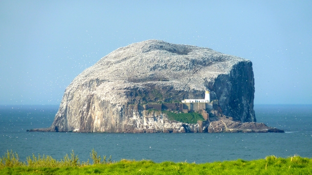 The lighthouse and the remains of the castle on Bass Rock in the outer part of the Firth of Forth Scotland The island plays host to more than  Gannets and is the largest single rock gannetry on Earth described by David Attenborough as one of the wildlife 