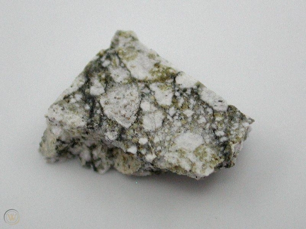 The lunar meteorite NWA 