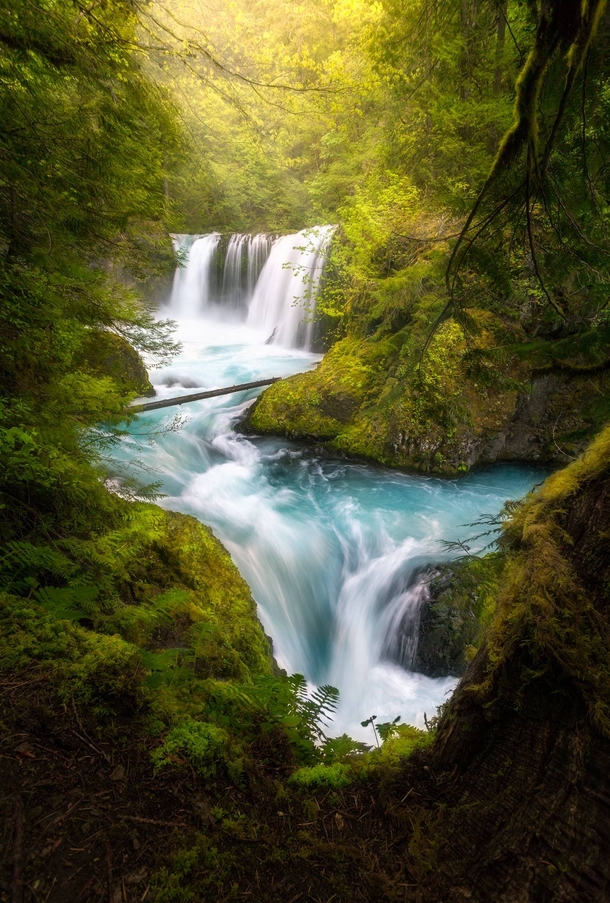 The magical Spirit Falls Located on the WA side of the Columbia River Gorge it has no official trailhead and is usually only frequented by kayakers and photographers 