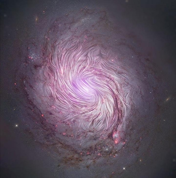 The magnetic field of spiral galaxy M