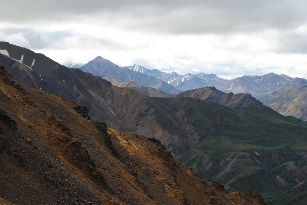 The majestic mountains of Denali National Park during summer 