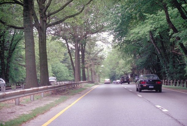 The Merritt Parkway in Connecticut is considered one of the most beautiful highways in the world due to its attractive tree canopy and distinctive art deco bridges