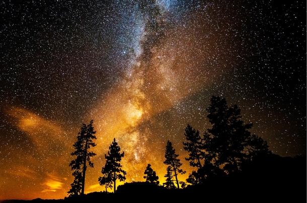 The Milky Way spreads upward from these tress at Sand Harbor Lake Tahoe The golden glow is from city lights across the lake  photo by Bill Currier