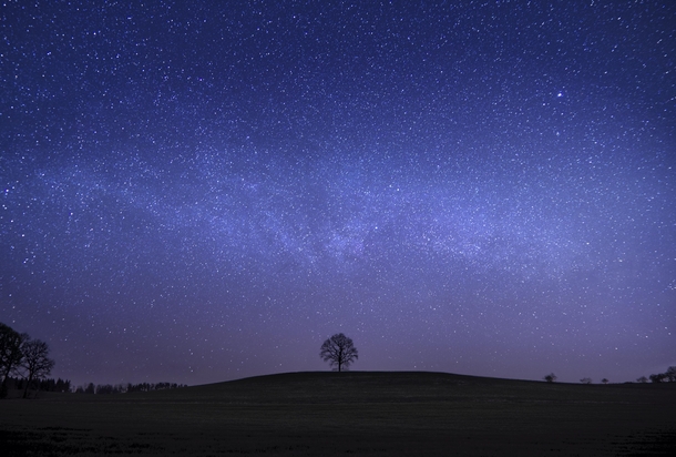 The Milkyway above a lonely Tree in Zittau Saxony Germany 