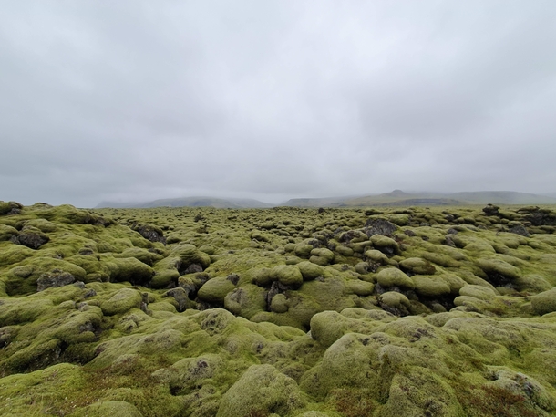 The moss layer formed on the rocks in Iceland as a result of the eruption of the Eyjafjallajkull volcano in  and the ash spread  - ig alperyesiltas