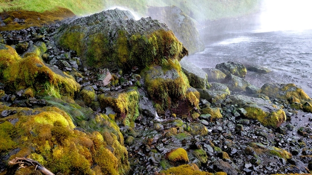 The mossy rocks behind Seljalandsfoss waterfall in Iceland 