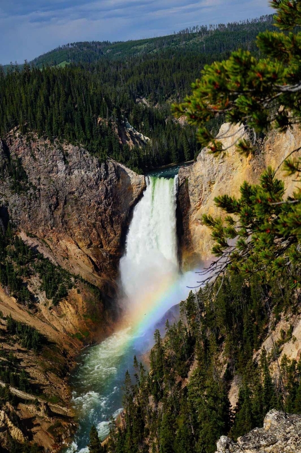 The most beautiful view Ive ever seen- The Grand Canyon of The Yellowstone National Park 