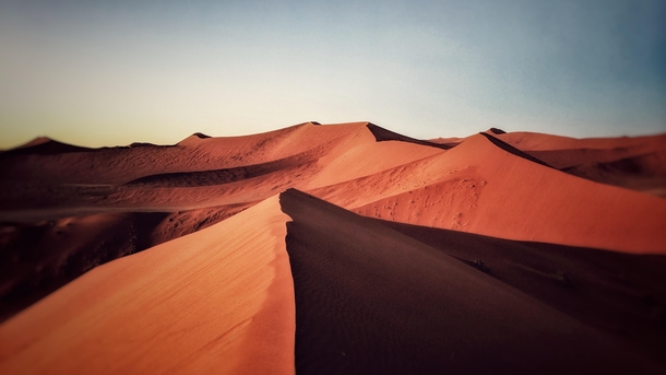 The Namib at sunrise 