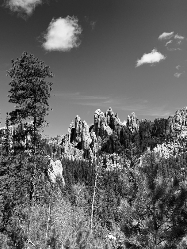 The Needles Custer State Park x OC
