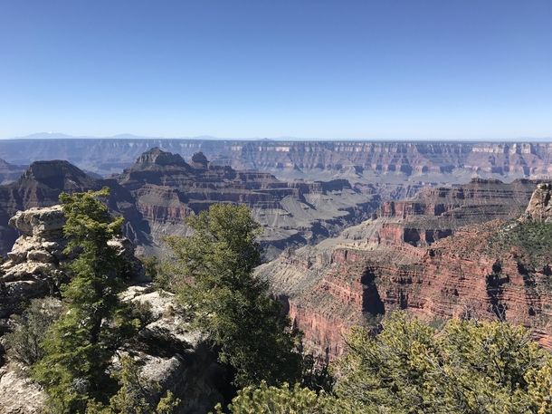 The North Rim of the Grand Canyon 