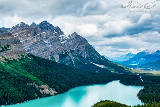 The one and only Peyto Lake 