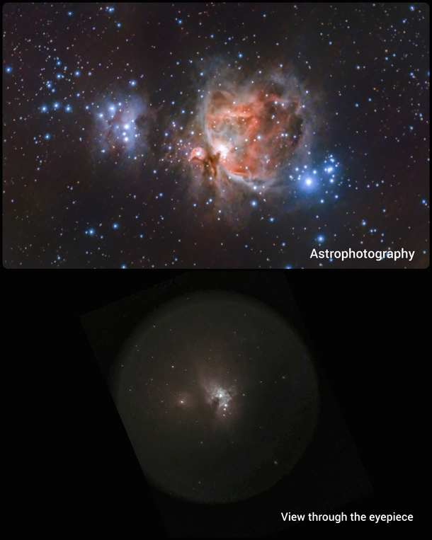 The Orion Nebula astrophotography vs visual astronomy Photorator