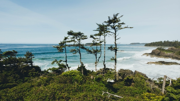 The Outliers Tofino British Columbia   x 