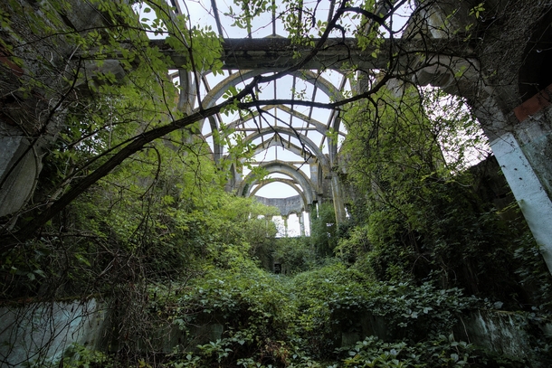 The overgrown ruins of a church  By Lauric Gourbal Photographies