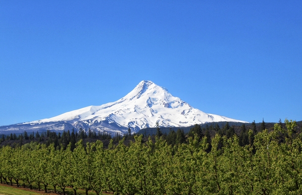 The Pacific Northwest is a special place Mount Hood OR 