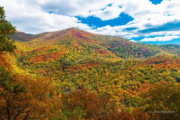 The painted landscape of the Great Smokey Mountains in October 