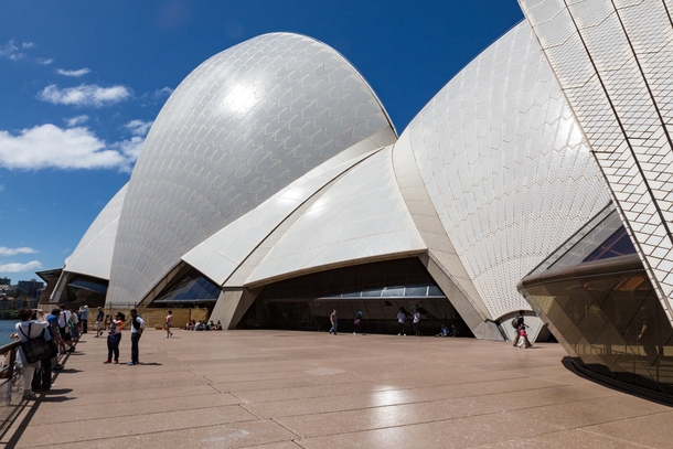 The patterns on the roof of the Sydney Opera House beautiful and in my case unexpected  Jrn Utzon
