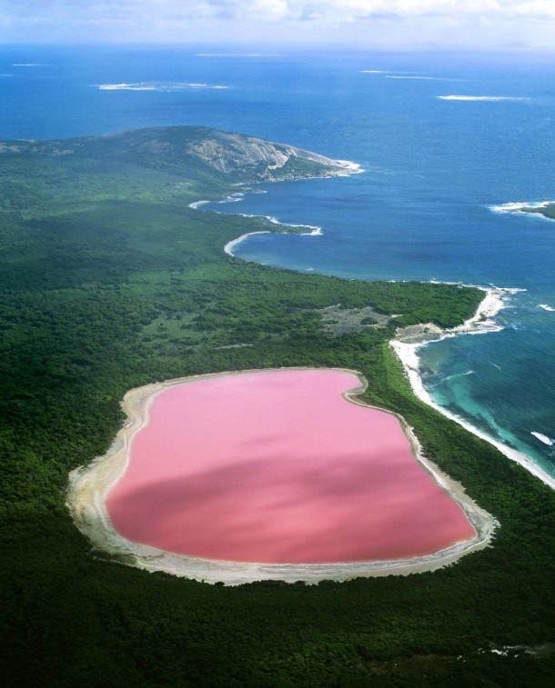 The pink Lake Hiller lake in Western Australia - Scientists have proven the strange pink color is due to the presence of algae which is usually the cause of strange coloration 