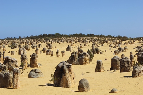 The Pinnacles Desert Western Australia OC x