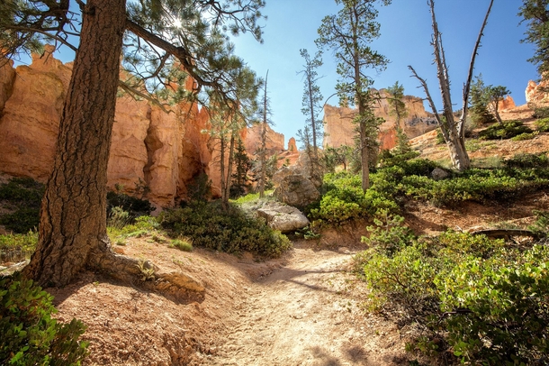 The Queensland Trail - Bryce Canyon National Park Utah 