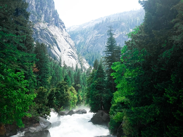 The rapids at Yosemite this year were amazing 