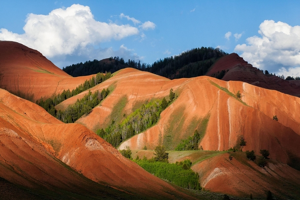 The Red Hills at their spring best - Jackson Hole WY 