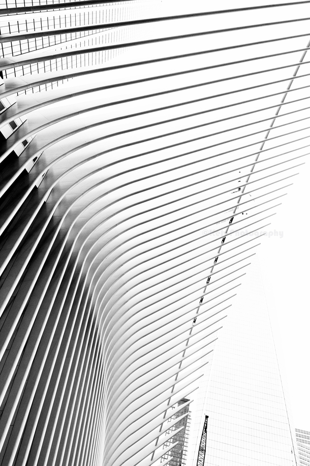 The ribs that form the Oculus Manhattan