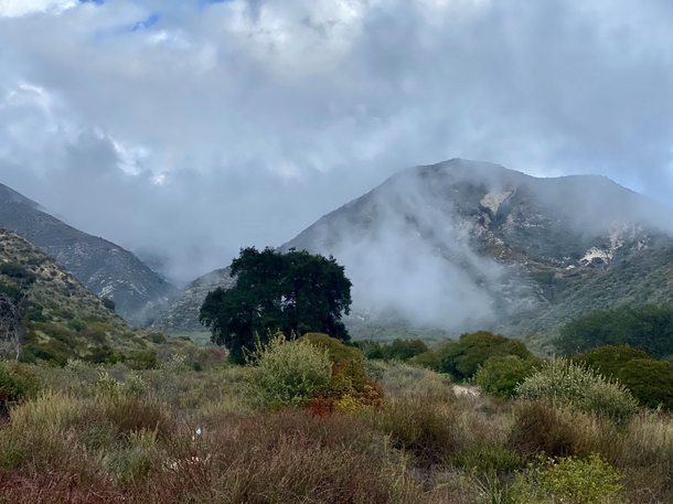 The Rim of the Valley Trailhead above Los Angeles as clouds move in just a few moments ago  x  