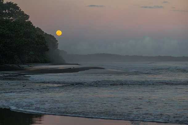 The Rising Full Moon Brings the High Tide Espiritu Santo Vanuatu 
