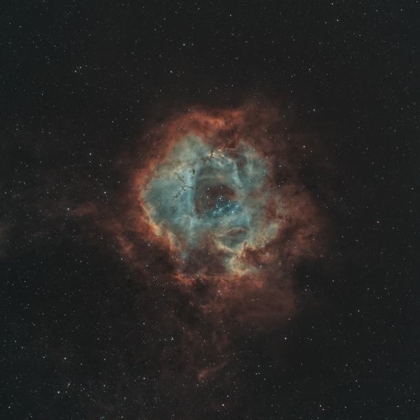 The Rosette Nebula 