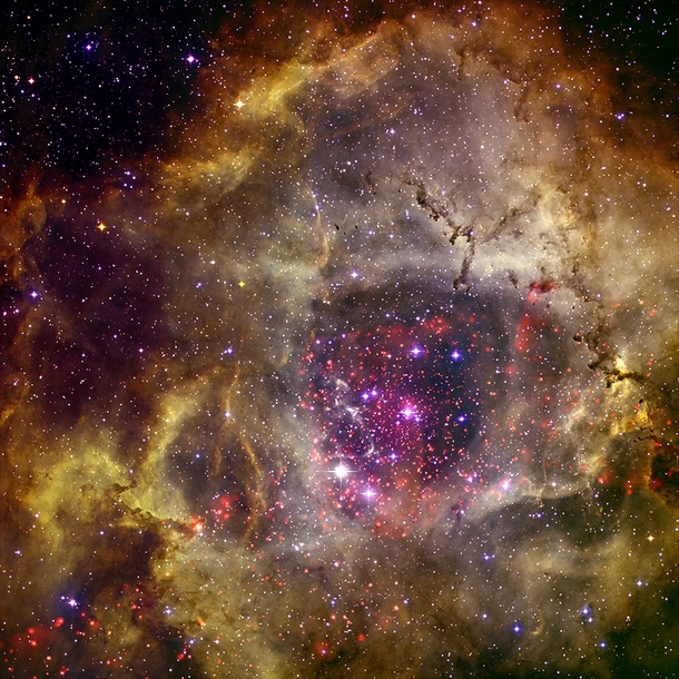 The Rosette Nebula 