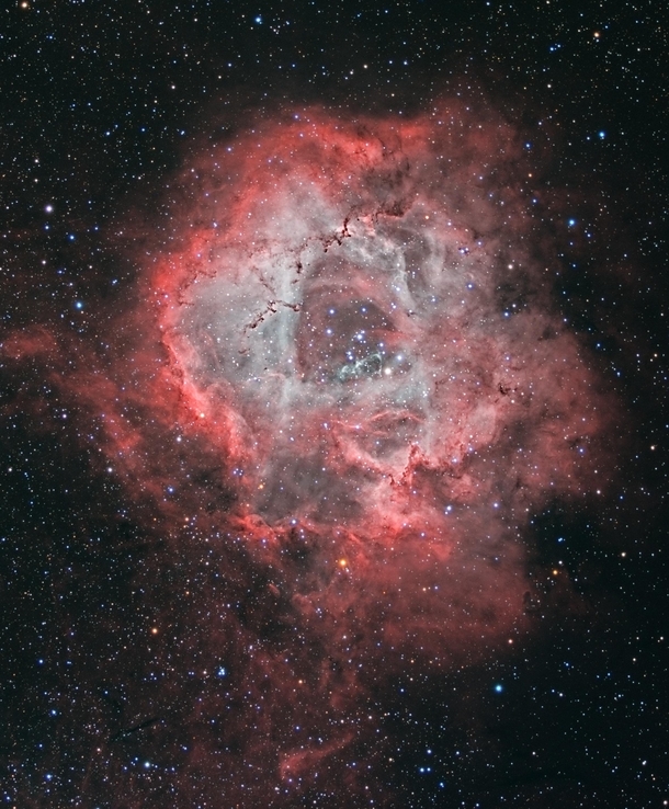The Rosette Nebula NGC  is at the edge of a large molecular cloud in Monoceros some  light years away The lovely symmetric shape is sculpted by the winds and radiation from its central cluster of hot young O-type stars
