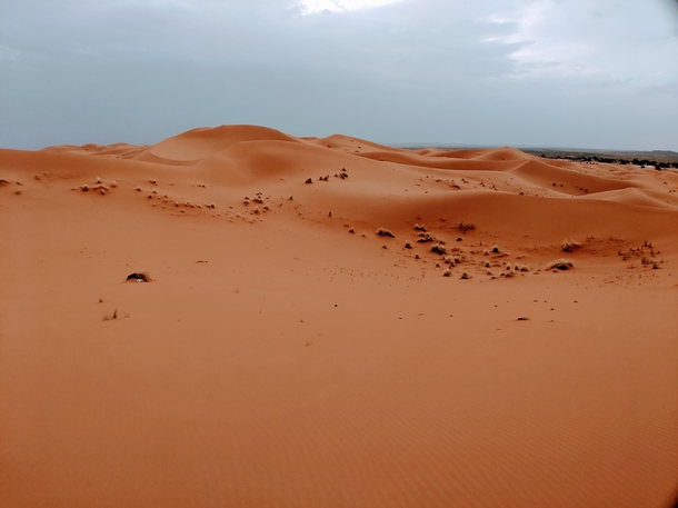 The Sahara desert in Morocco 