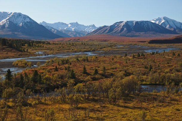 The Savage River Valley in Denali National Park Alaska - early September 