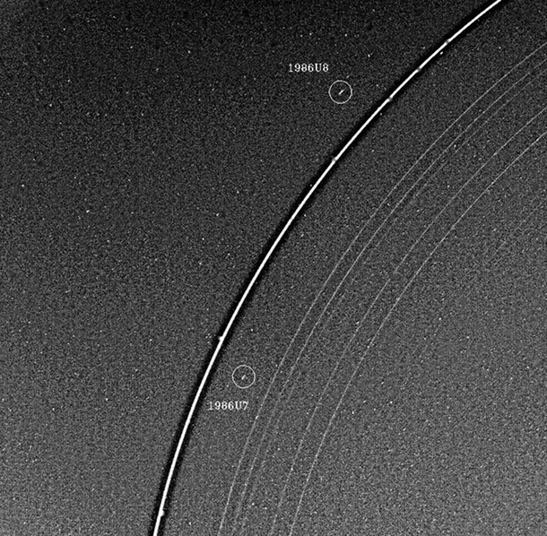 The  Shepard moons associated with the Epsilon Ring of Uranus