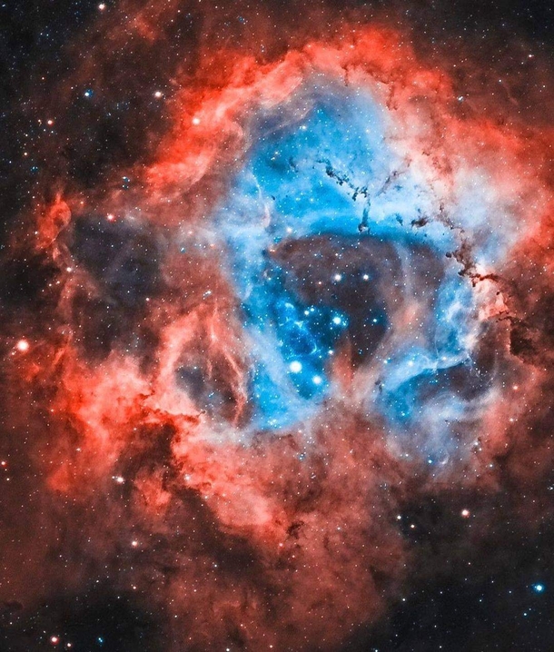 The Skull amp Rosette Nebula