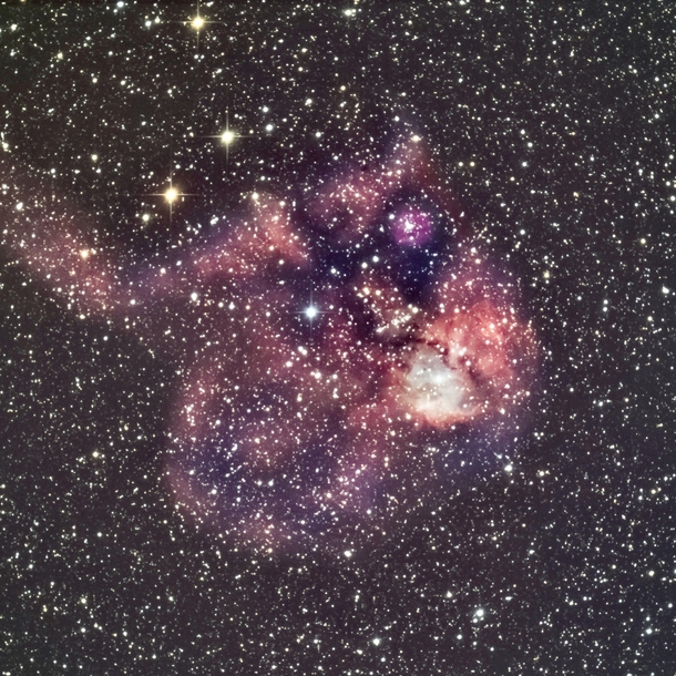 The Skull and Crossbones Nebula