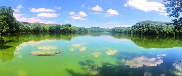 The Sky Reflected In Green Radnor Lake TN  x 