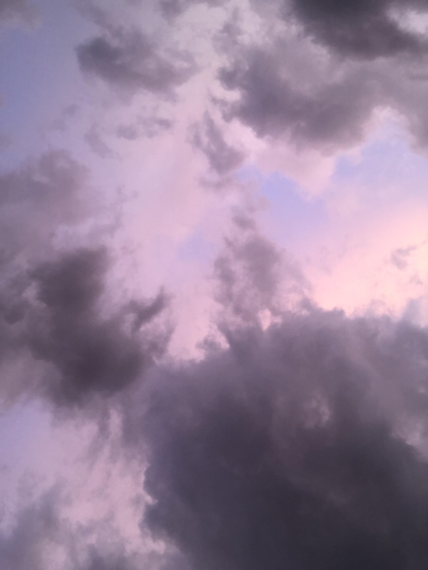 The sky turned everything below it a purple hue